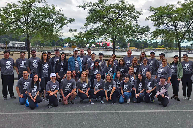 Shoreline Cleanup