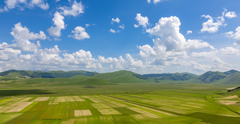 2022 AgriStability Workshops for Accountants and Tax Filers – February 2022