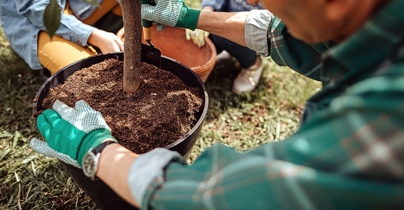 Surrey Langley North Delta Chapter - Releaf Tree Planting Event