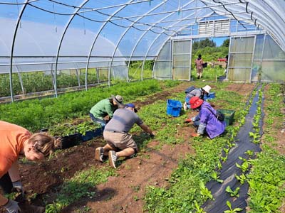 Vancouver Chapter UBC Farm Event Volunteers