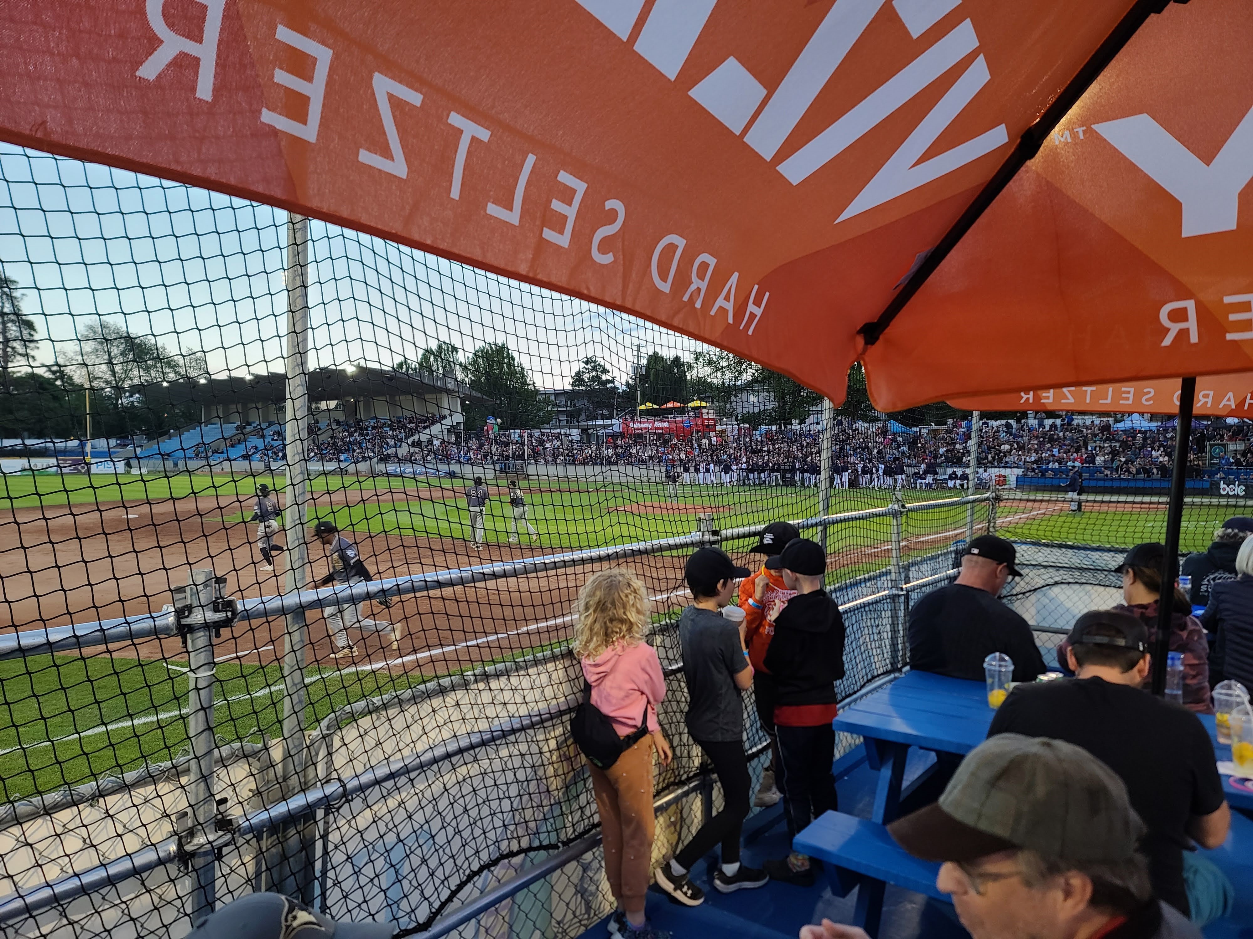 Attendees at the HarbourCats Game