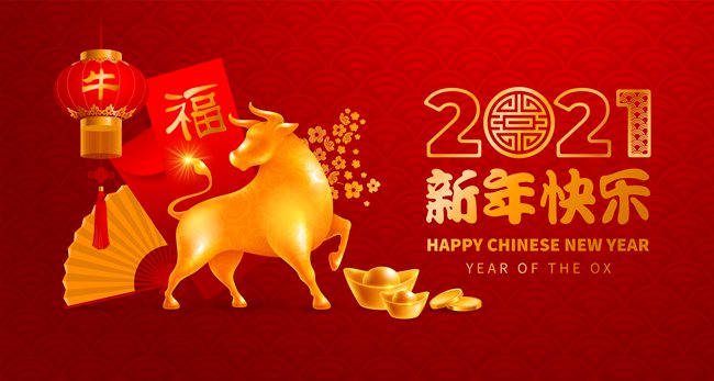 Chinese New Year Fundraiser