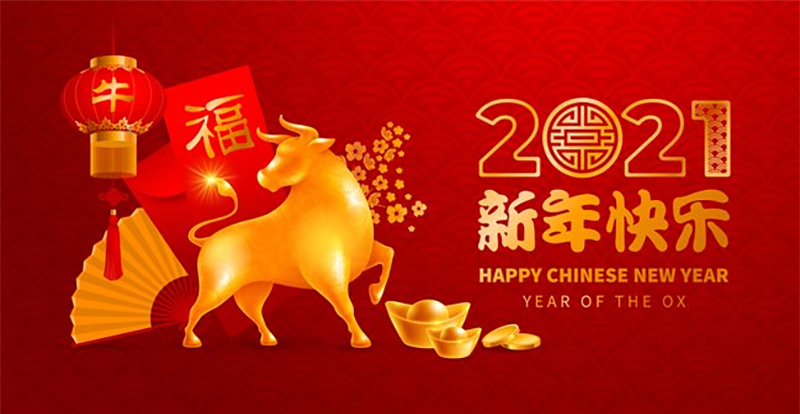 Chinese New Year Fundraiser