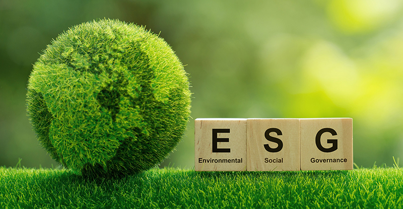 The importance of having an ESG strategy