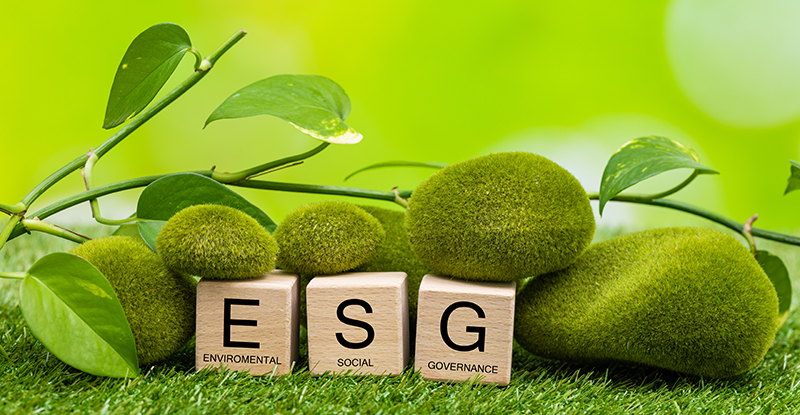 Why companies care about ESG