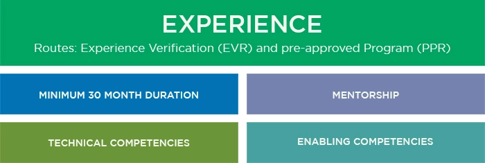 Pert - Experience - Graphic