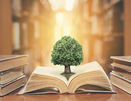 CPA Financial Literacy Program