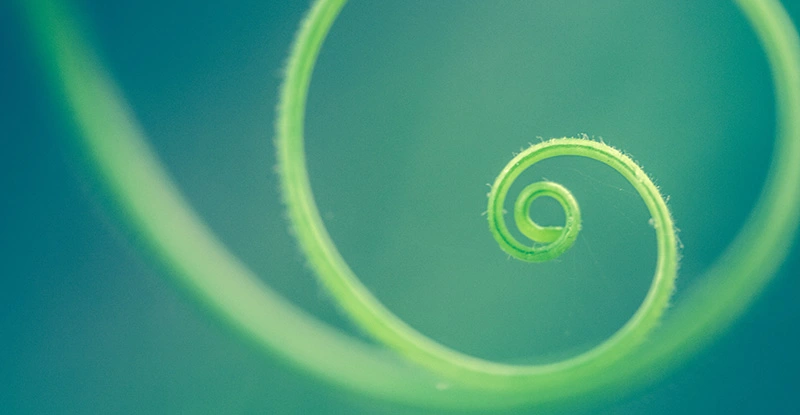 Banishing burnout: From surviving to thriving