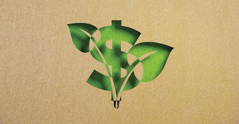 Cut Out Leaf Shapes Made of Recycled Paper With Dollar Sign On Green Background