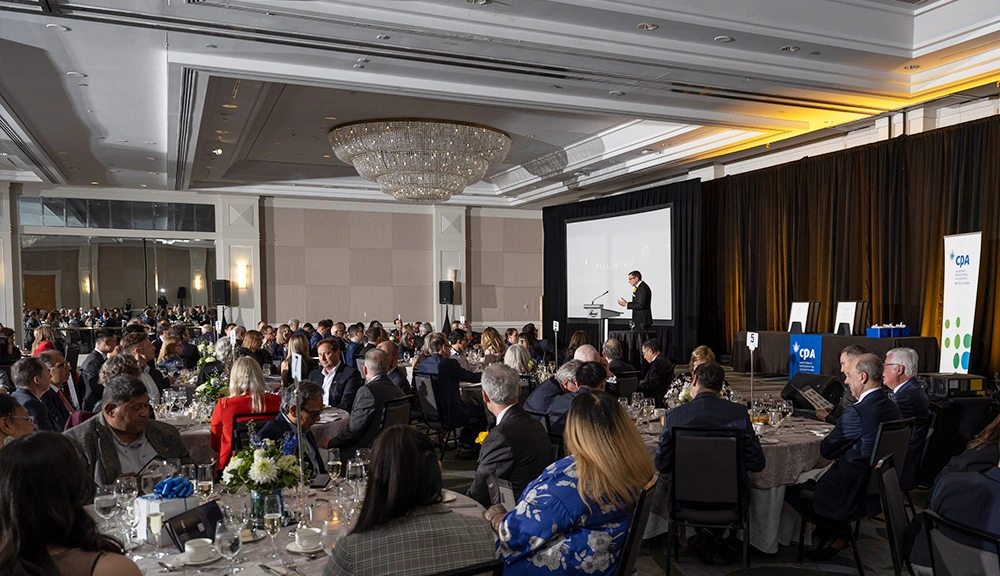 Mr Recap Photo 1 Mr Recap Photo 1