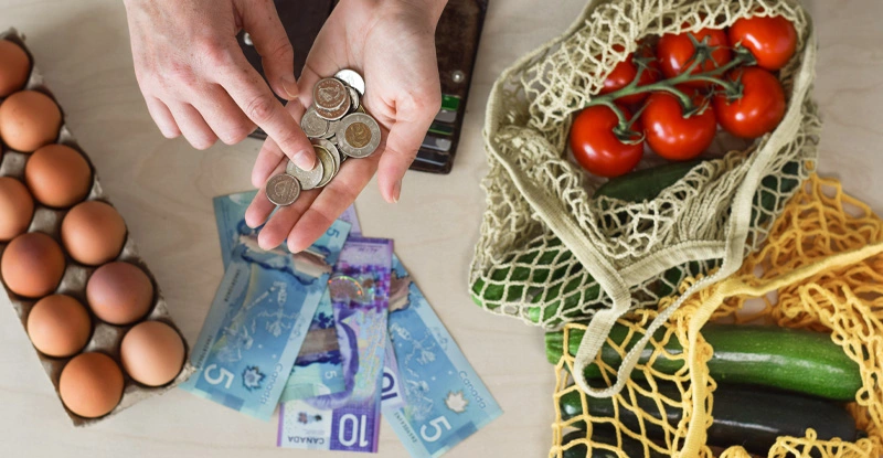 Person counting change and bills after a grocery purchase
