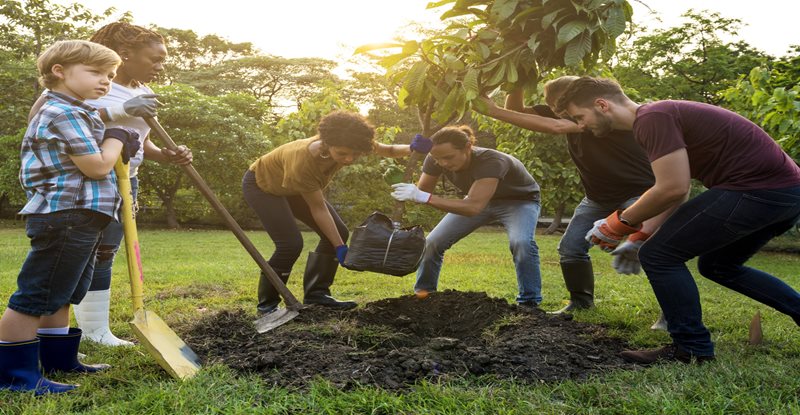 Surrey/Langley/North Delta Chapter Community Event - Releaf Tree Planting