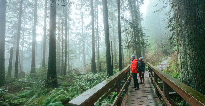 North Shore/Sunshine Coast Chapter - Mountain Mingle Series