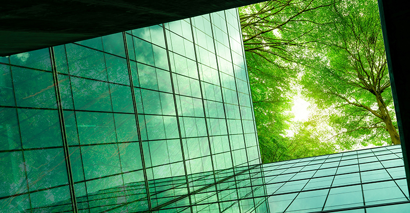 Sustainability: The strategic imperative Sustainability: The strategic imperative
