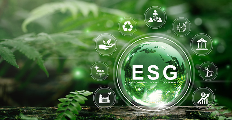 ESG: What do I need to learn as a CPA? ESG: What do I need to learn as a CPA?