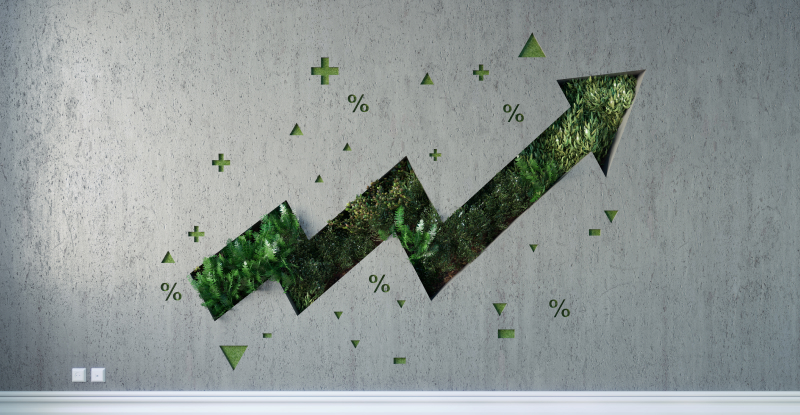 Integrating ESG and attracting investment: Resources for BC businesses and CPAs Integrating ESG and attracting investment: Resources for BC businesses and CPAs